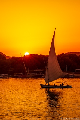 Picture of Felucca Ride on the Nile - Aswan - Felucca Ride on the Nile - Aswan