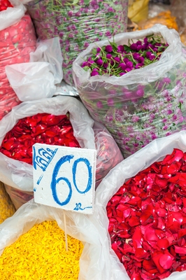 Thailand photos - Bangkok Flower Market (Pak Khlong Talat)