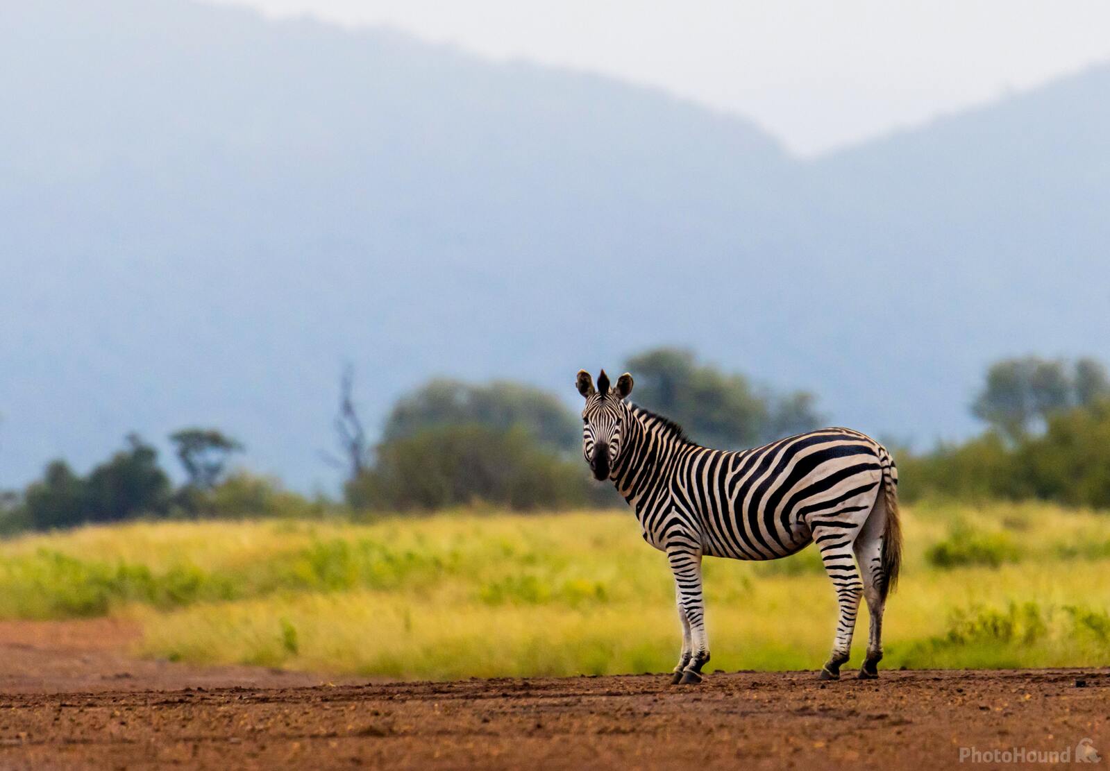 Image of Madikwe Game Reserve by Team PhotoHound