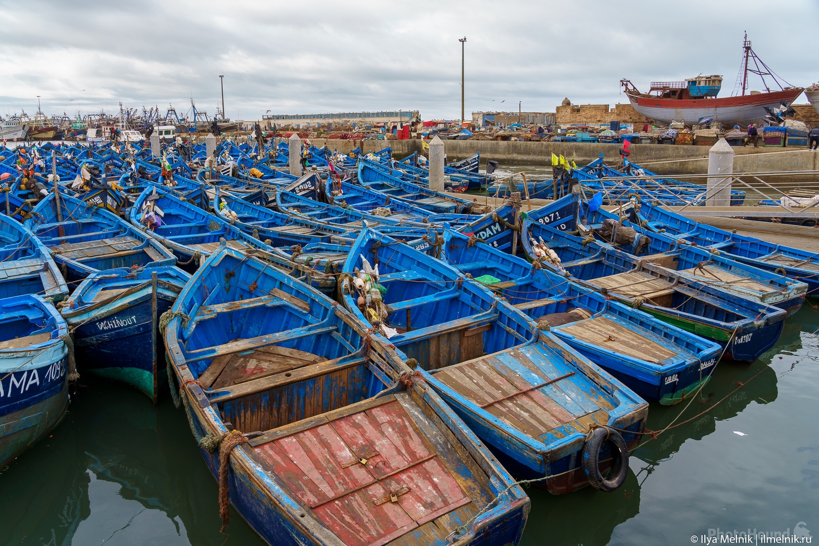 Image of Blue Boats of Essaouira by Ilya Melnik