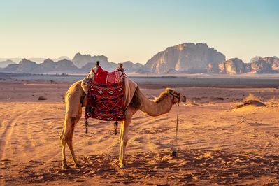 images of Jordan - Wadi Rum Desert
