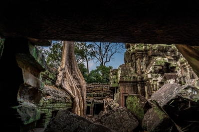 Photo of Ta Prohm Temple, Cambodia - Ta Prohm Temple, Cambodia
