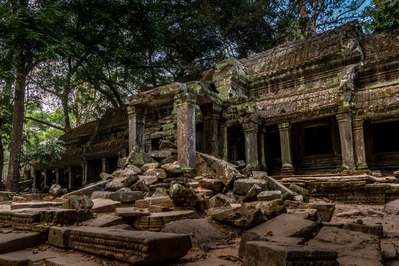 Image of Ta Prohm Temple, Cambodia - Ta Prohm Temple, Cambodia