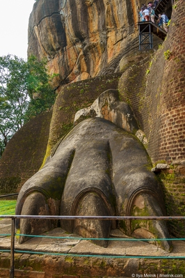 Picture of Sigiriya Rock Fortress - Sigiriya Rock Fortress