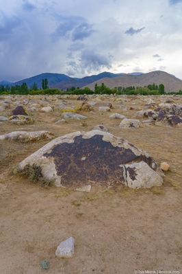 pictures of Kyrgyzstan - Museum of Petroglyphs, Issyk Kul
