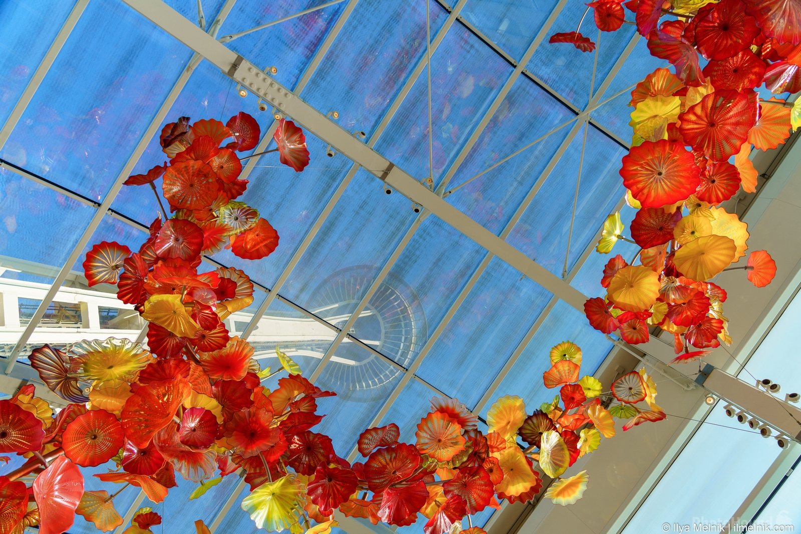 Image of The Chihuly Garden and Glass – Seattle Center by Ilya Melnik