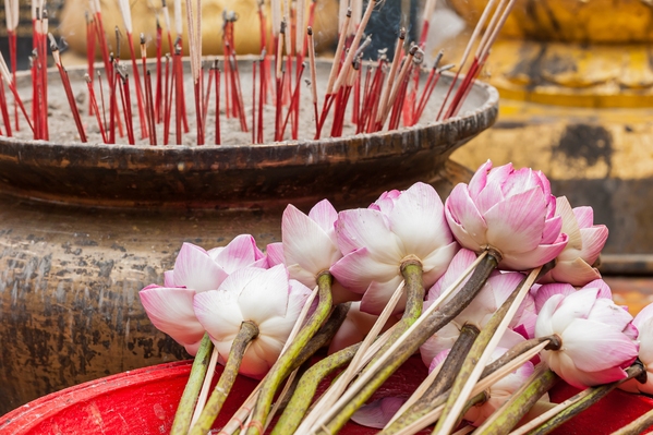Incense Sticks and Lotus Flower Offering