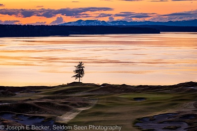 images of Puget Sound - Lone Fir, Chambers Bay