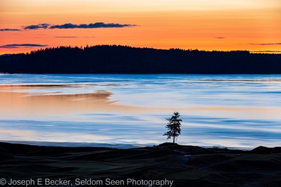 pictures of Puget Sound - Lone Fir, Chambers Bay