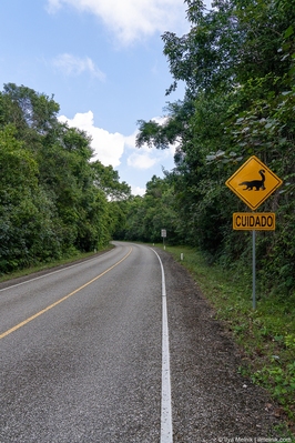 Road to Tikal temples (inside the national park)
