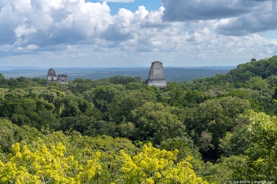 Guatemala images - Tikal