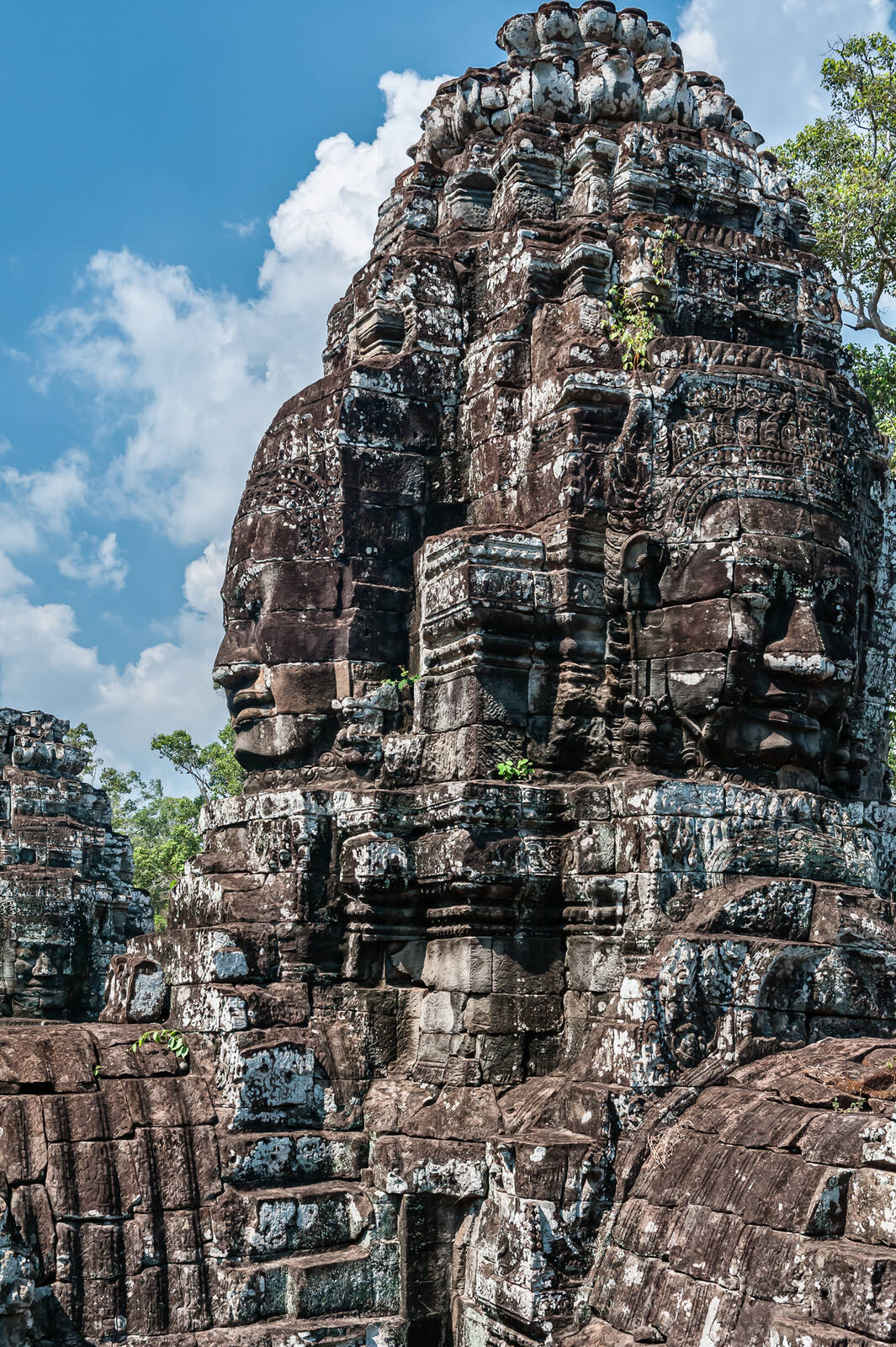 Image of Bayon by Sue Wolfe