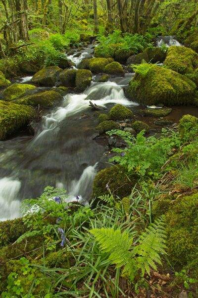 images of Dartmoor - Colly Brook Waterfalls