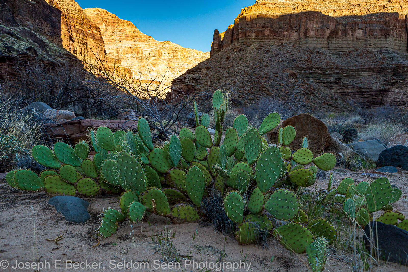 Image of Rafting the Grand Canyon - Phantom Ranch to Pearce Ferry by Joe Becker