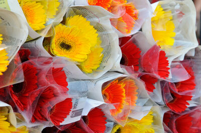 Quang Bá Flower Market