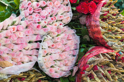 pictures of Vietnam - Quang Bá Flower Market