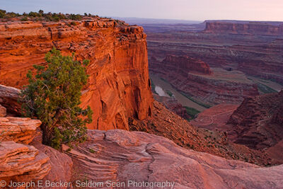 Photo of Dead Horse Point - Dead Horse Point