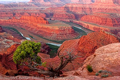 instagram spots in United States - Dead Horse Point