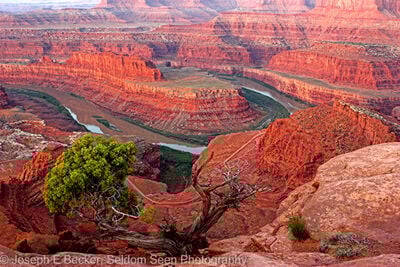 Utah photo spots - Dead Horse Point