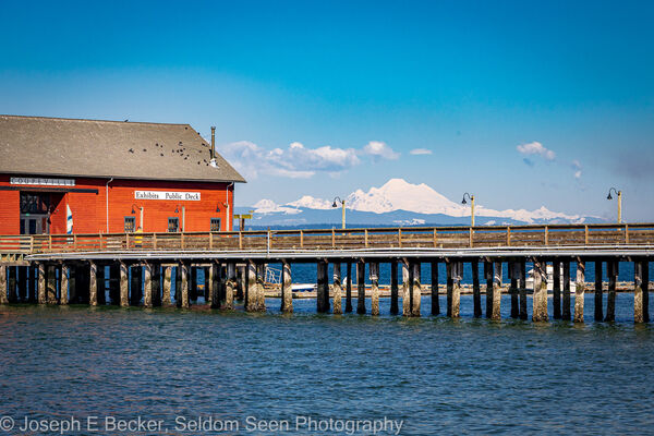 Mount Baker and the wharf from the beach