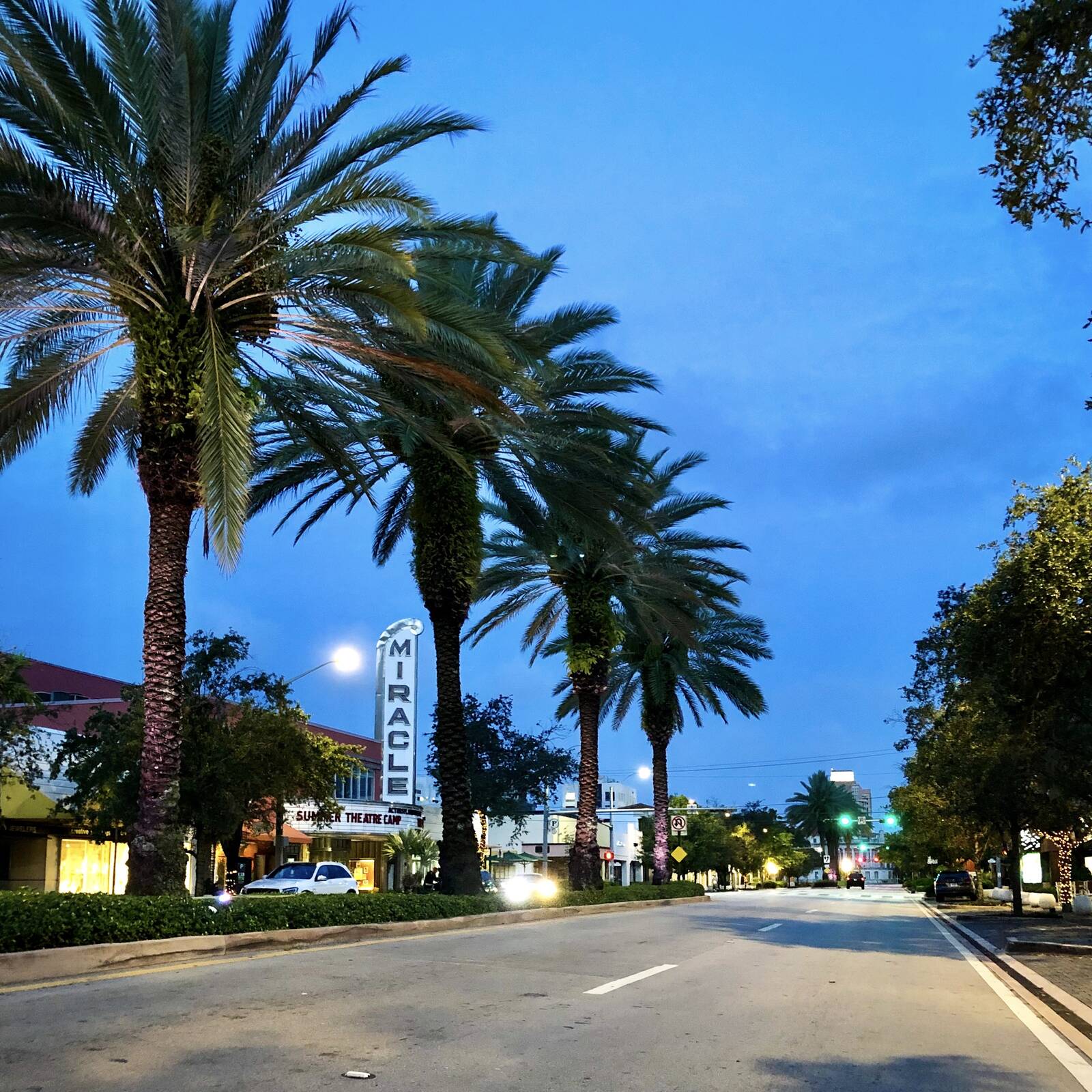 Image of Coral Gables - Miracle Mile by Salvatore Domina