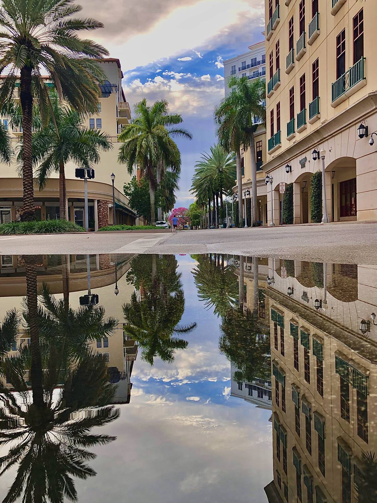 Image of Coral Gables - Miracle Mile by Salvatore Domina