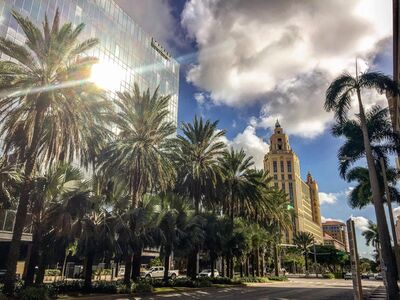 Picture of Coral Gables - Alhambra Towers - Coral Gables - Alhambra Towers