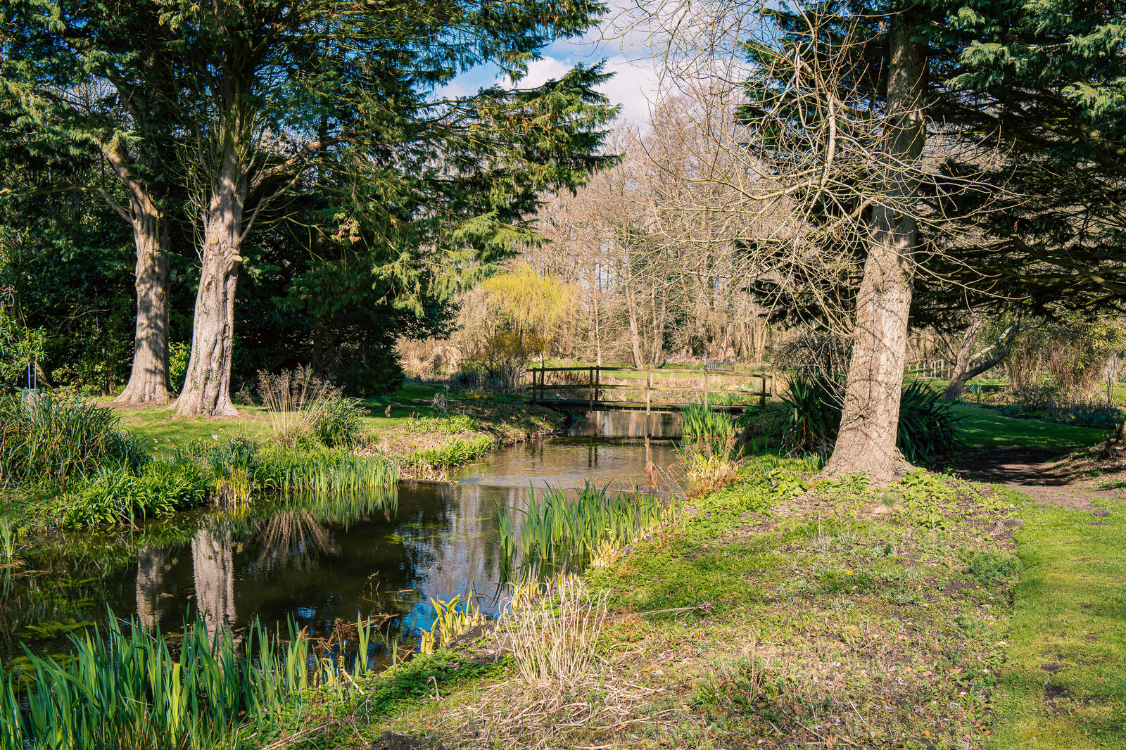 Image of Gooderstone Water Gardens by James Billings.