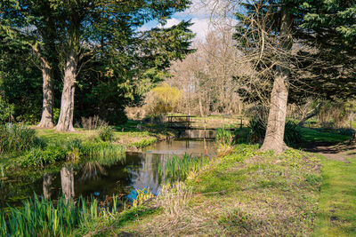 Picture of Gooderstone Water Gardens - Gooderstone Water Gardens