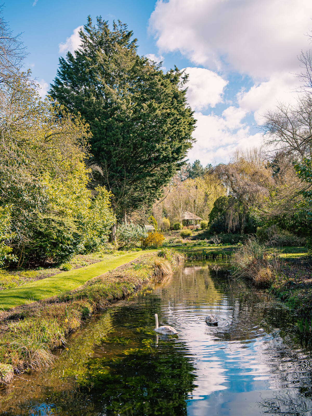 Image of Gooderstone Water Gardens by James Billings.