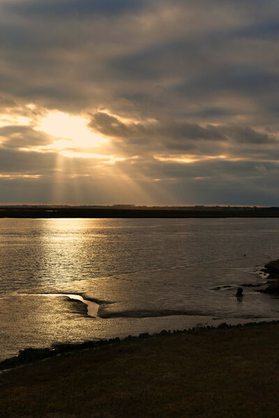 Picture of River Alde from Orford Quay - River Alde from Orford Quay