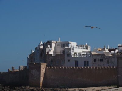 The Medina of Essaouira