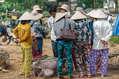 Vietnam images - Ba Ren Pig Market