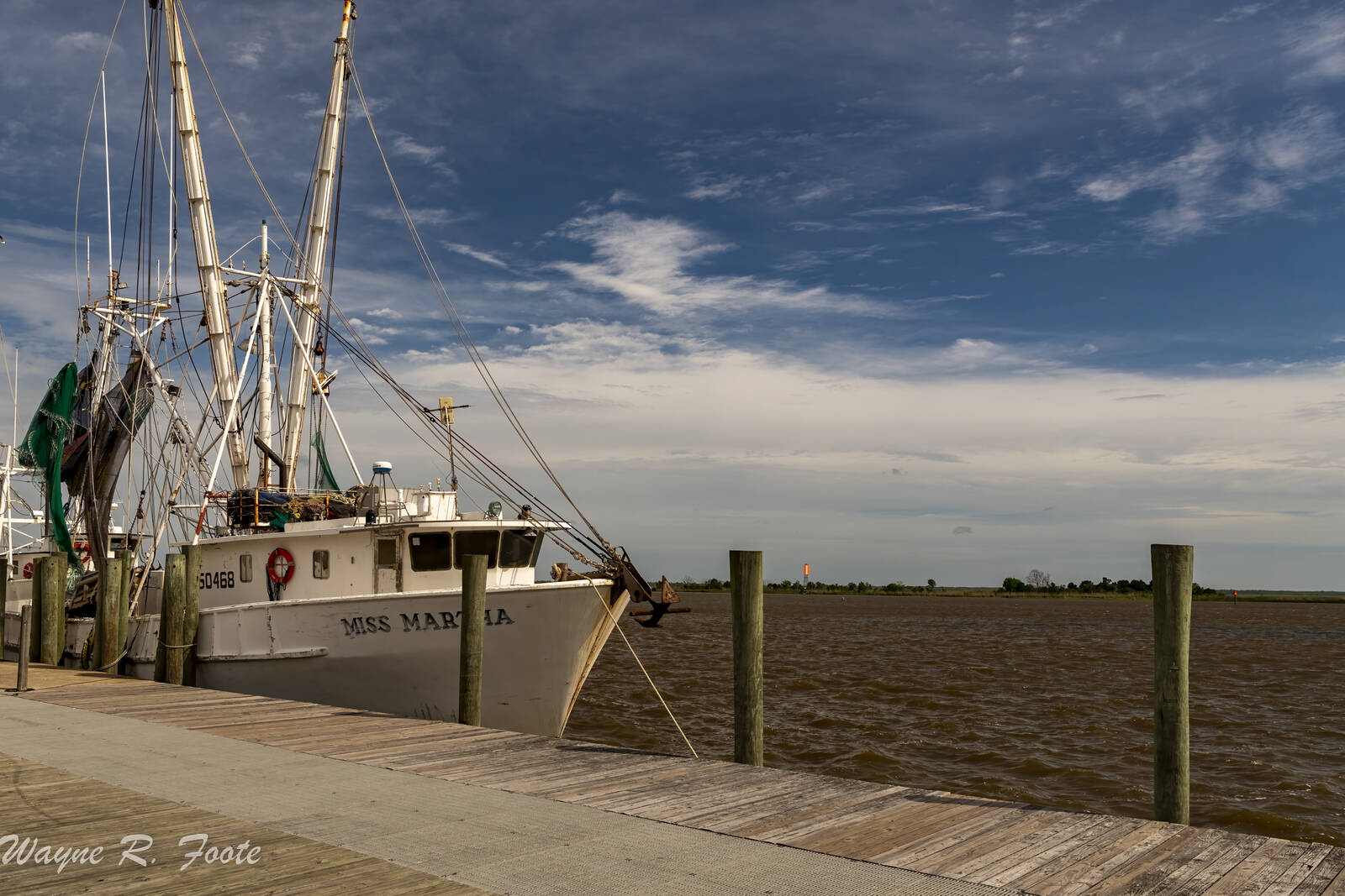Image of Apalachicola City Dock by Wayne Foote