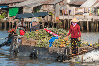 Vietnam pictures - Cai Rang Floating Market