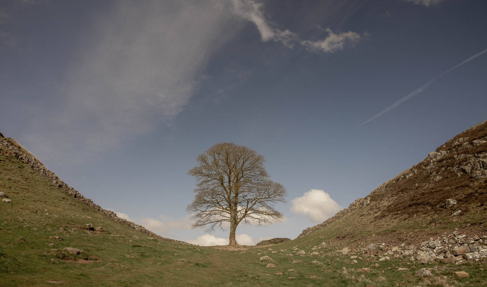 Image of Hadrian’s Wall - Sycamore Gap by michael bennett