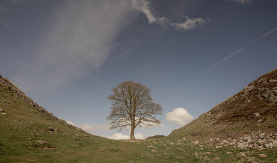 images of Northumberland - Hadrian’s Wall - Sycamore Gap