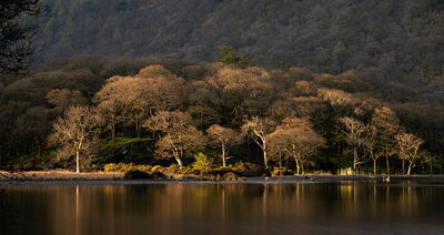 Picture of Crummock Water - Crummock Water