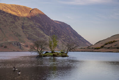 Picture of Crummock Water - Crummock Water