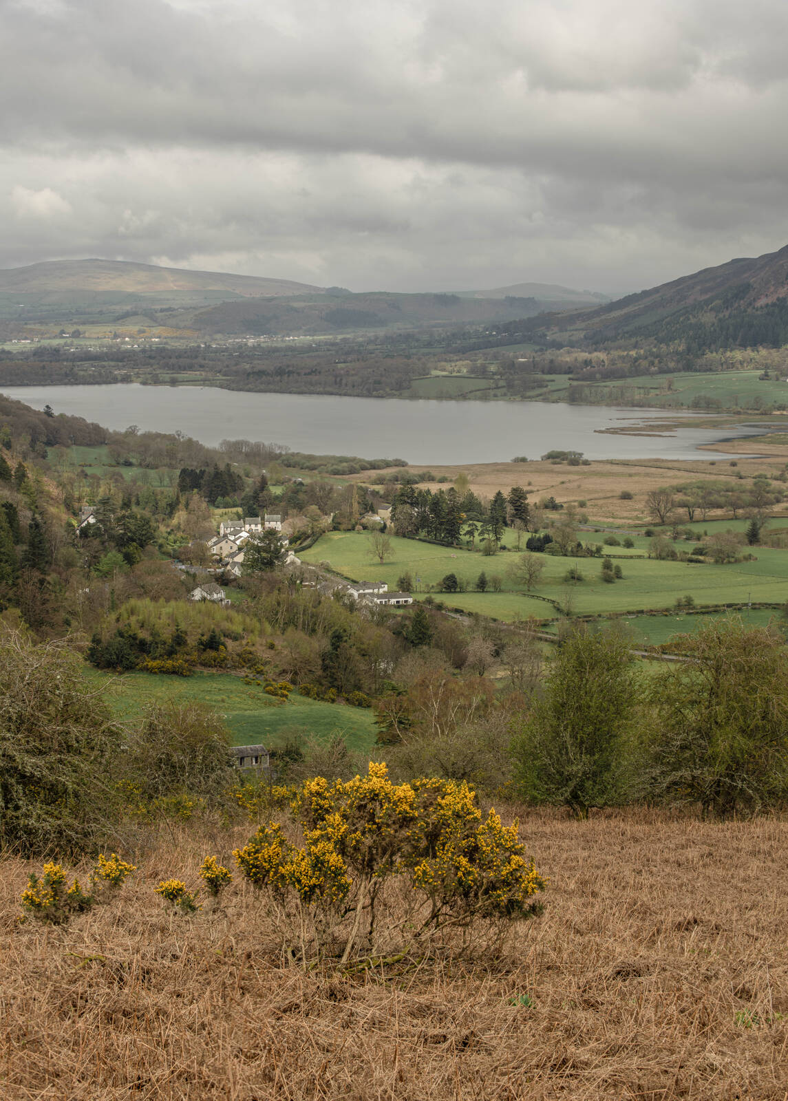 Image of View over Bassenthwaite lake National nature reserve by michael bennett
