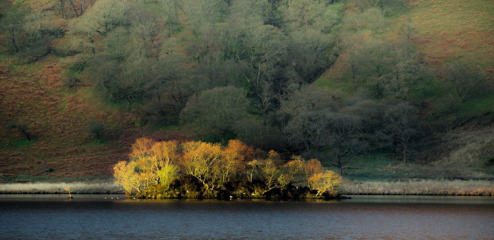Image of Crummock Water by michael bennett