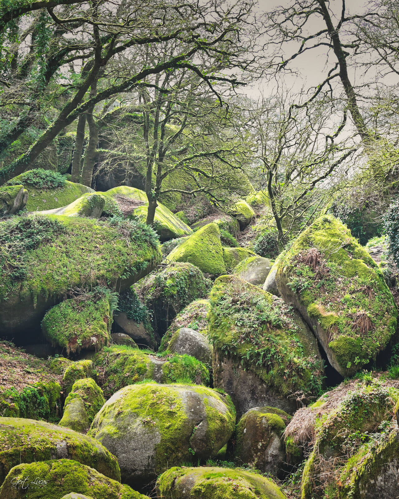 Image of Huelgoat Forest - \'The Rock Chaos\' by Gert Lucas