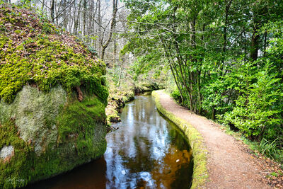 The Silvermine Canal, Huelgoat Forest