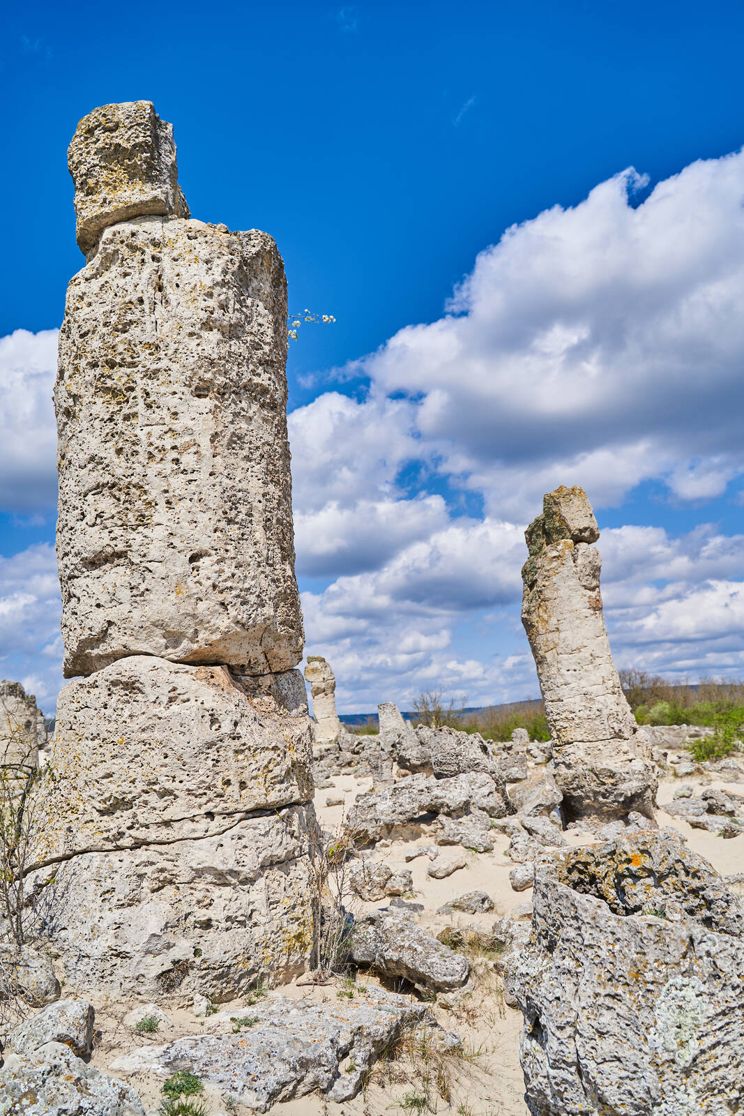 Image of Pobiti Kamani (The Stone forest) by Rostikslav Nepomnyaschiy