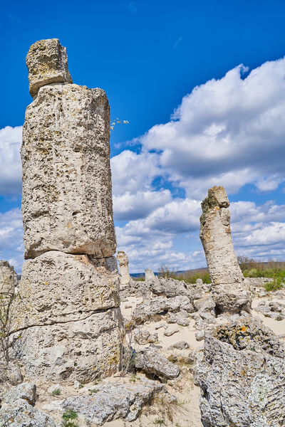 images of Bulgaria - Pobiti Kamani (The Stone forest)