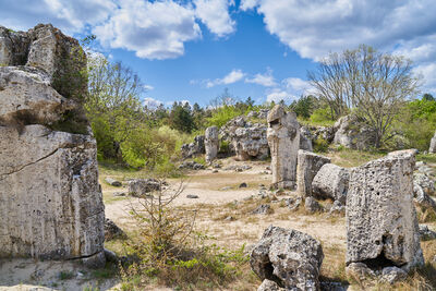 photos of Bulgaria - Pobiti Kamani (The Stone forest)