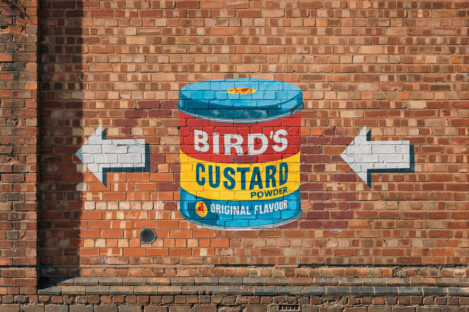Image of Birds Custard Street Art by Mathew Browne