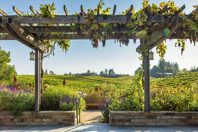 California photography spots - Lynmar Estate Vineyards