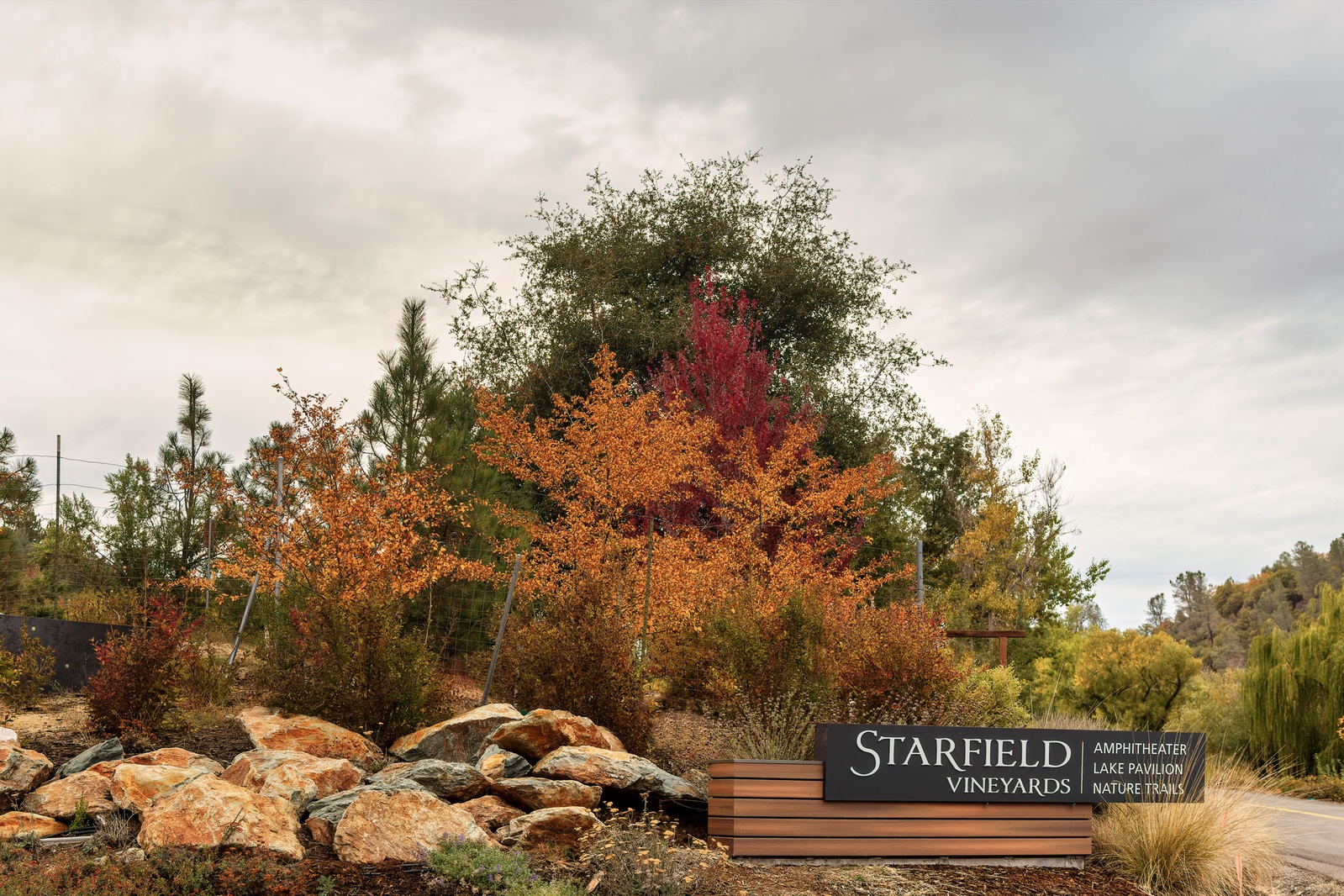 Image of Starfield Vineyards by Karen Schmautz