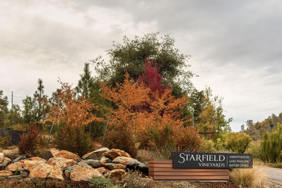 Image of Starfield Vineyards - Starfield Vineyards